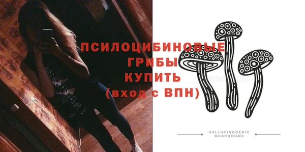 ГАЛЛЮЦИНОГЕННЫЕ ГРИБЫ Арсеньев