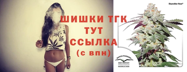 ГАЛЛЮЦИНОГЕННЫЕ ГРИБЫ Арсеньев