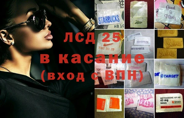 ГАЛЛЮЦИНОГЕННЫЕ ГРИБЫ Арсеньев
