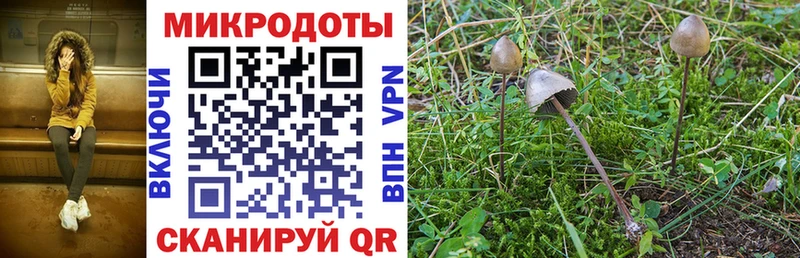 Галлюциногенные грибы MAGIC MUSHROOMS  Белебей 